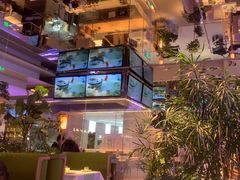 -桂满陇·杭州小馆(朝阳合生汇店)