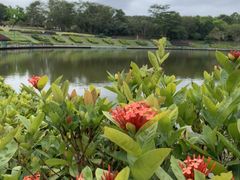 -东莞植物园