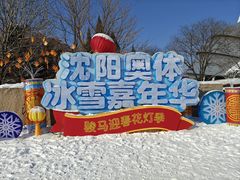 -沈阳奥体冰雪嘉年华