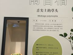 -同里国家湿地公园