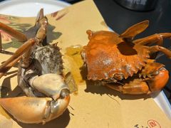 -鑫悦楼煎蟹·16年海鲜大排档