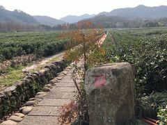 -中国茶叶博物馆(双峰馆区)