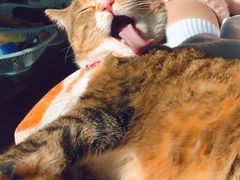 -老四季(南市场店)