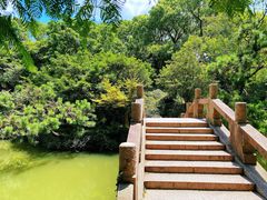 -上海醉白池公园
