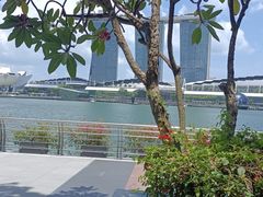 -桃苑(华侨银行大厦店)
