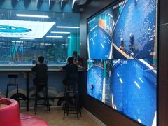 -Swim斯卫姆国际儿童游泳中心(红博中央公园店)