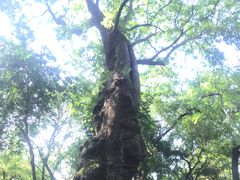 -绮园景区