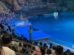 -芜湖新华联大白鲸海洋公园