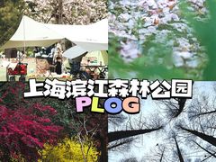 -上海滨江森林公园
