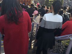 -中华恐龙园