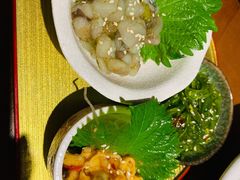芥末章鱼-有喜屋·深夜食堂(北京西路店)