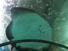 -苏州海洋馆