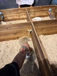 -酷嗒动物文化乐园(cutezoo西溪乐天城店)