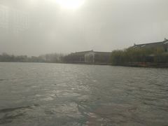 -溱湖国家湿地公园