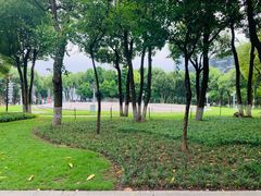 -重庆市江北嘴中央商务区中央公园