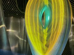 -上海之巅观光厅