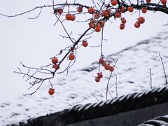 -北寺塔