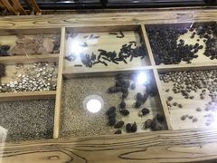 -陇上全荟兰州传统牛肉面(延吉路店)