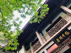 环境-十八棵（老龙井）御茶园(老龙井店)