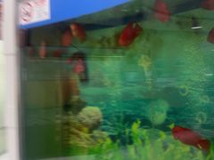 -雅悦齿科(顾村公园店)