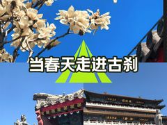 -天津大悲禅院