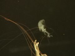 -波塞冬旅游度假区