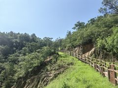 -白水寺森林公园