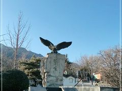 -北京鹫峰国家森林公园