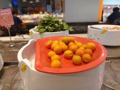-龍歌自助小火锅(李沧顺和汇店)