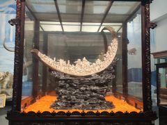 -东方山水乐园山之王国(全室内)
