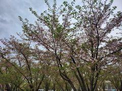 -龙美术馆(西岸馆)