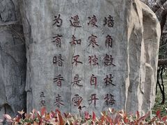 -洛阳市隋唐城遗址植物园