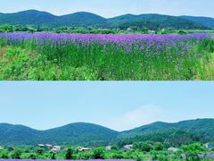 -九真山风景区