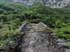 -鹿院坪生态旅游景区