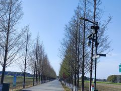 -嘉北郊野公园