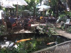 -Fern Forest Cafe