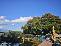 -西双版纳勐泐文化旅游区