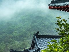 -向民炒鸡老店(火车站店)