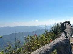 -梧桐山风景名胜区