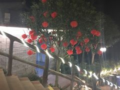-楠柏弯休闲山庄(梨花溪店)