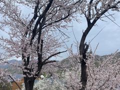 -中华福寿山