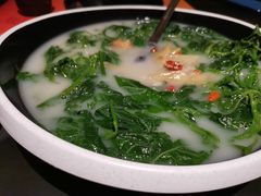 -羽鸽集·乳鸽专门店·地道顺德菜(岭南站店)
