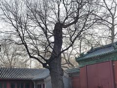 -历代帝王庙博物馆