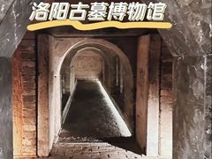 -洛阳古墓博物馆