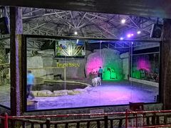 -清迈夜间动物园