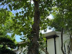 -天悦阁海景酒廊