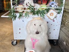 -蜀大侠火锅(春熙路店)