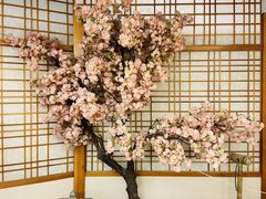 -汤泉良子.足疗按摩.SPA(中关村店)