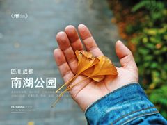 -成都南湖公园