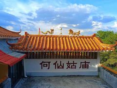 -风云岭森林公园